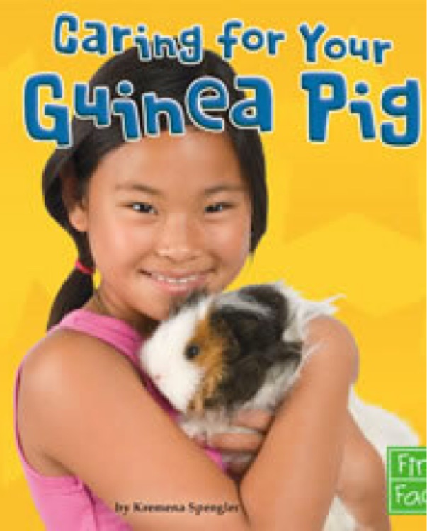 caring for your guinea pig