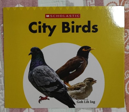 City Birds
(Scholastic Everyday Book box 3)(Grl G)