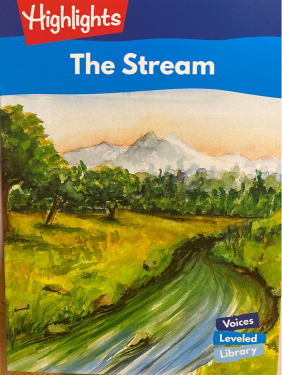 The stream