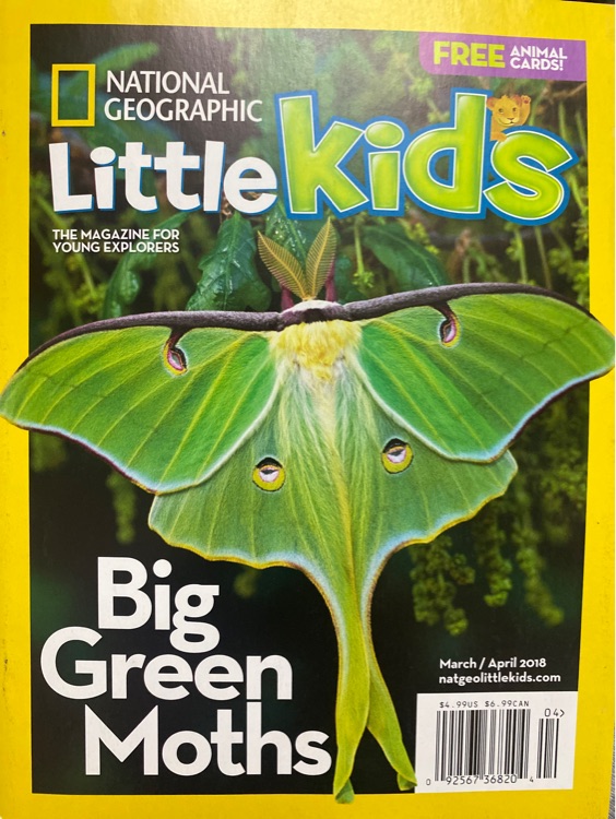 national geographic little kids big green moths