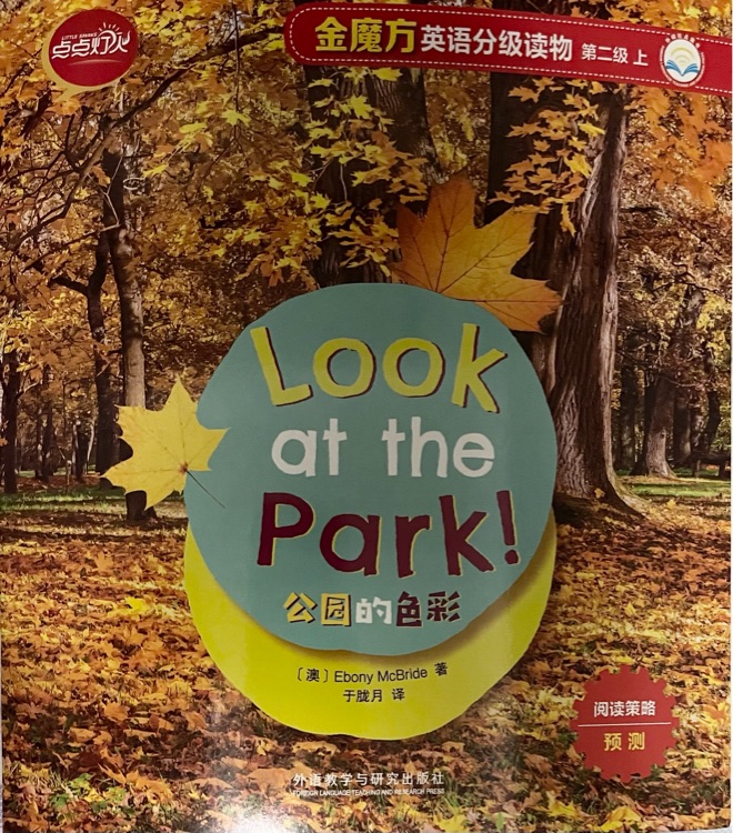 Look at the Park!