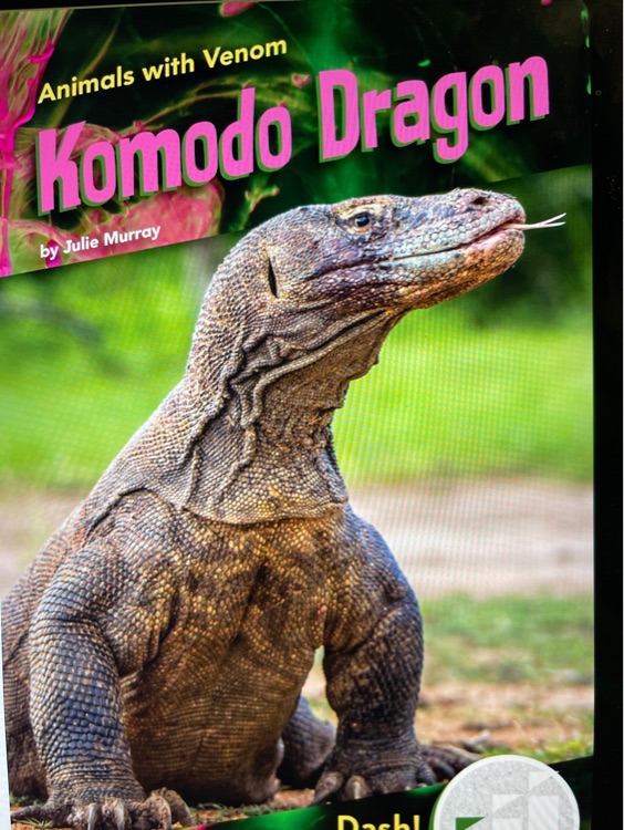 Komodo Dragon