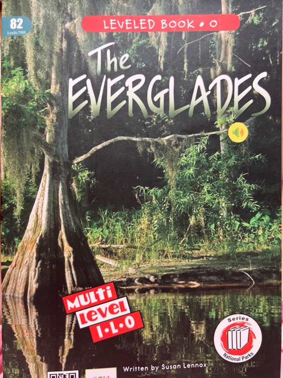 The Everglades