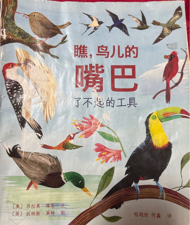 瞧, 鳥(niǎo)兒的嘴巴