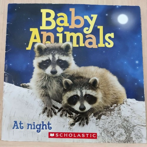 baby animals at night