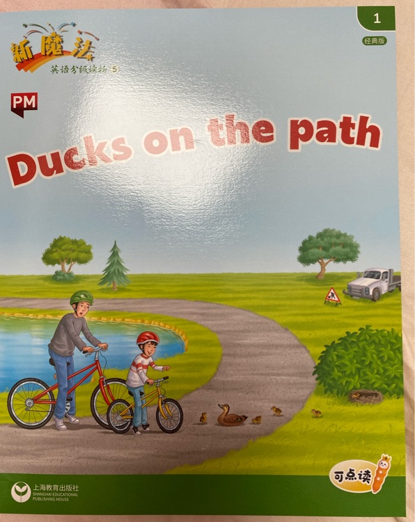 ducks on the path