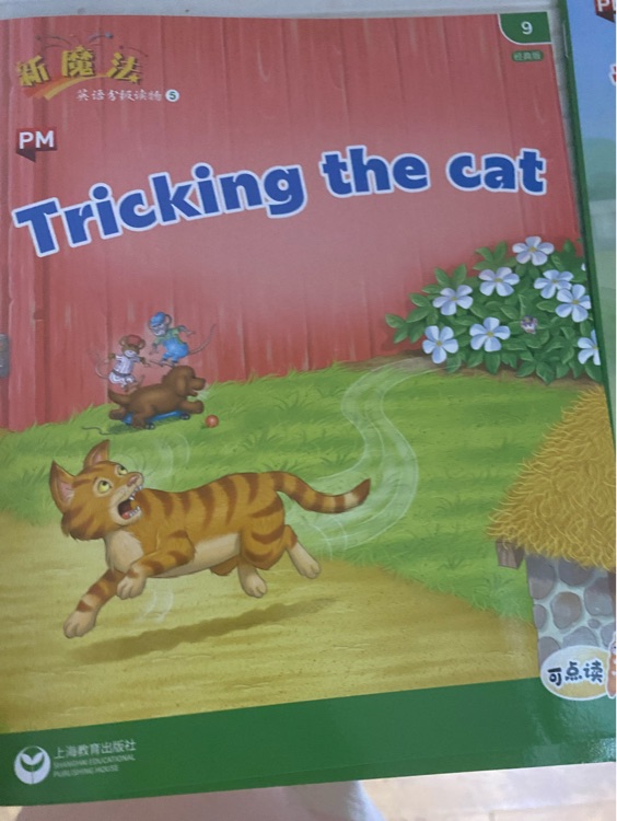 Tricking the cat