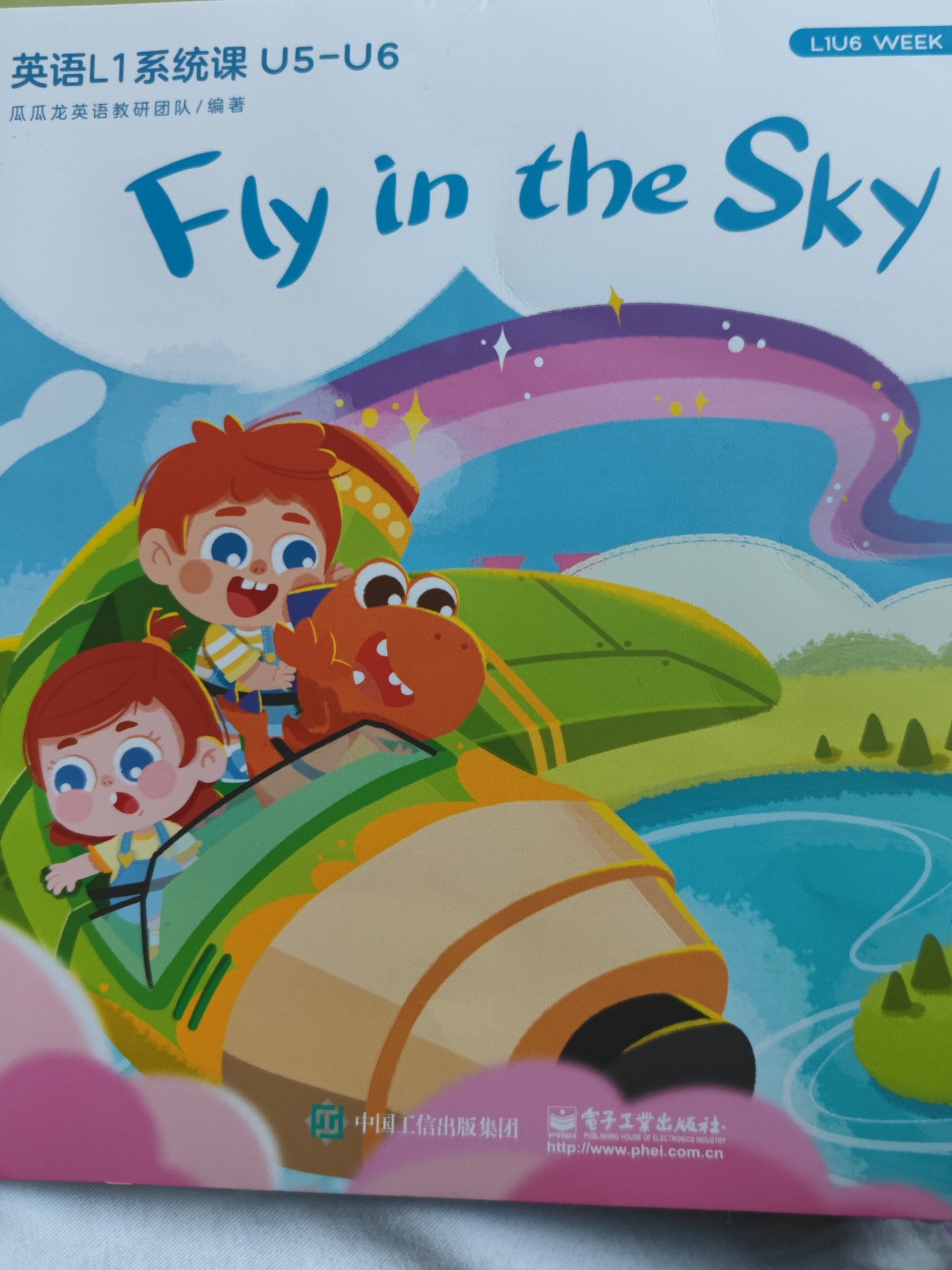 fly in the sky