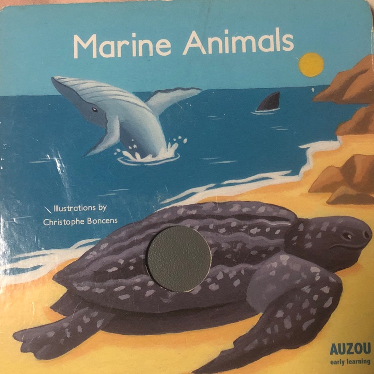 marine animals