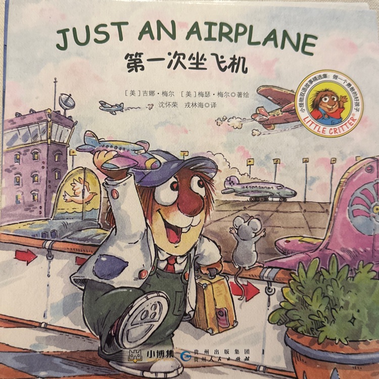 Just An Airplane