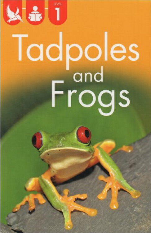 Kingfisher Readers L1: Tadpoles and Frogs