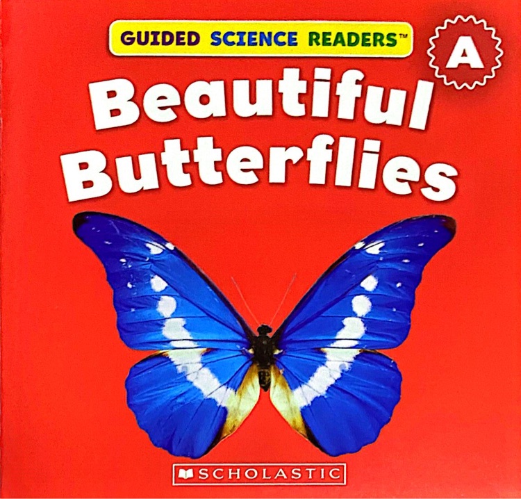 Guided Science Readers: A: Beautiful Butterflies