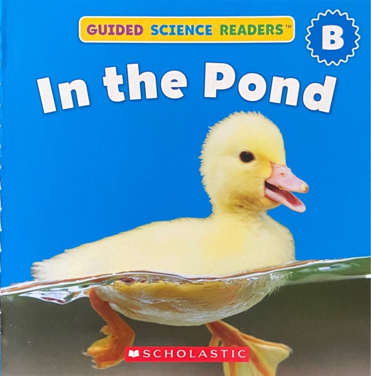 In the Pond (Guided Science Readers B-13)