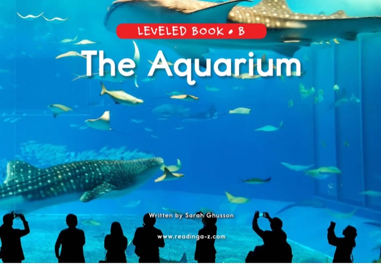 44.The Aquarium (RAZ B)