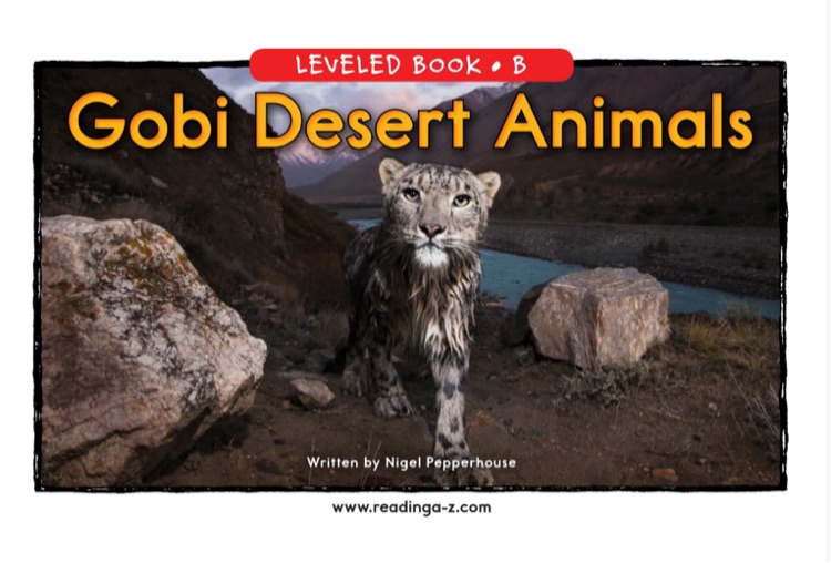 23.Gobi Desert Animals (RAZ B)