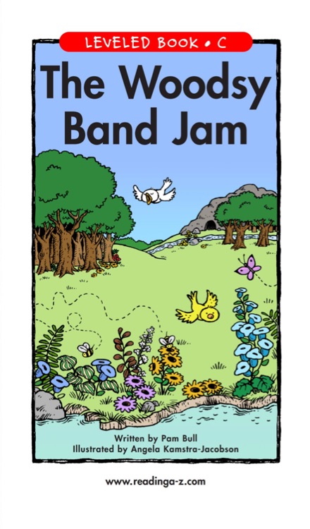 The Woodsy Band Jam (RAZ C)