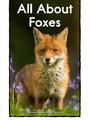 25 All About Foxes(RAZ D)