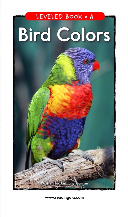 22 Bird Colors (RAZ A)