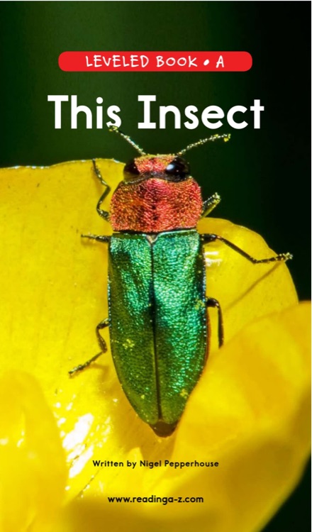 26 This Insect (RAZ A)