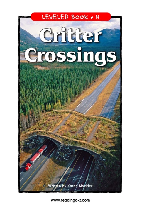 Critter Crossings (RAZ N)