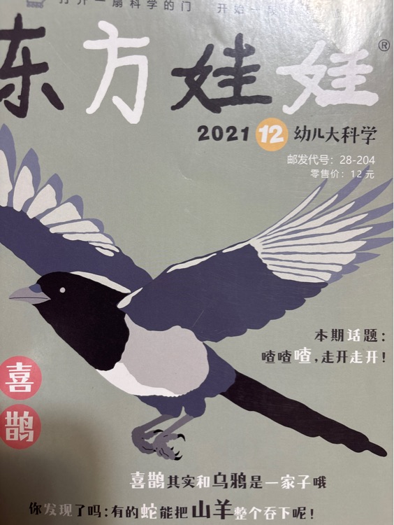 東方娃娃202112