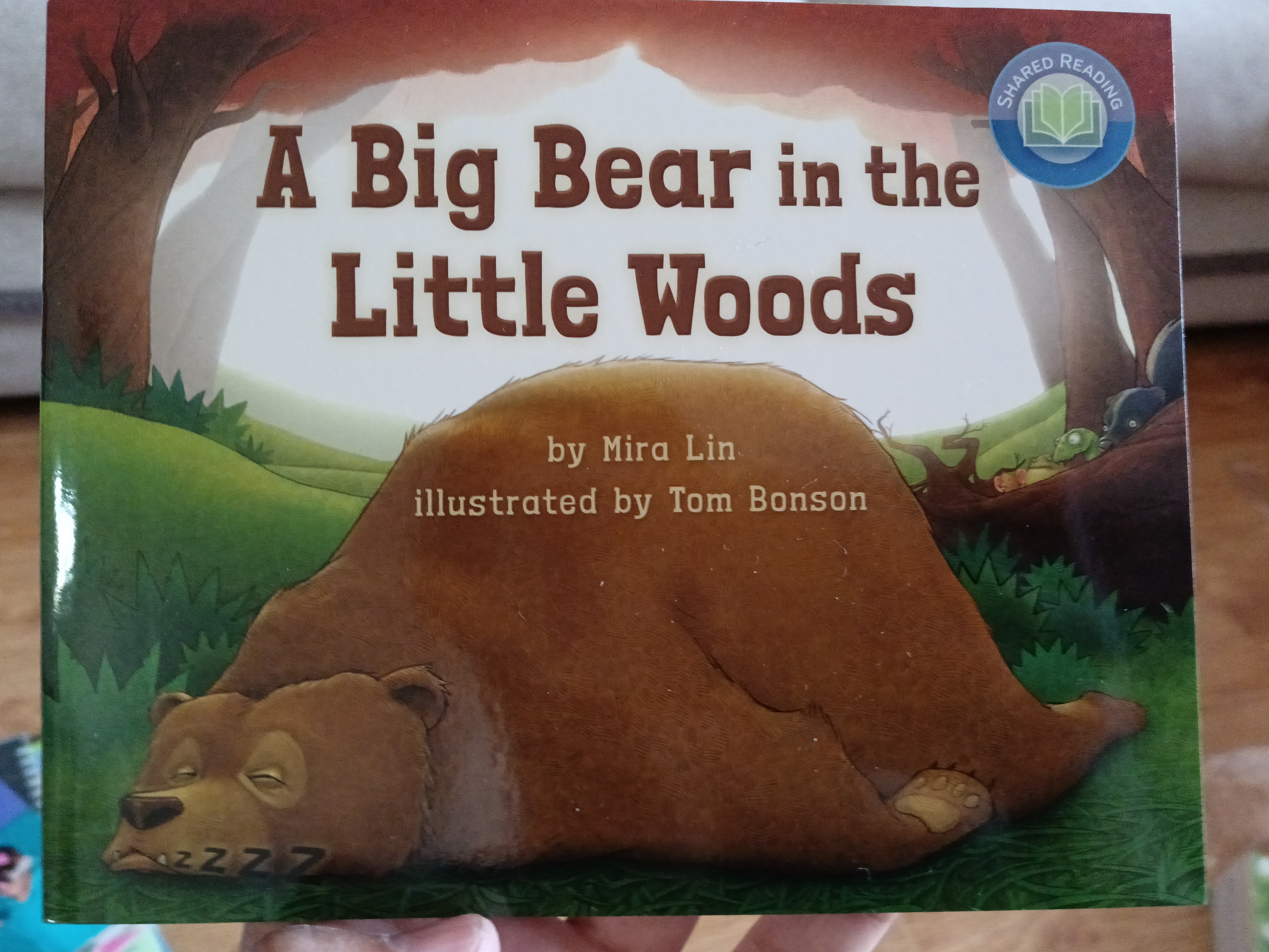 A big bear in the Little Woods