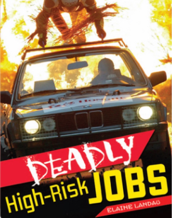 deadly high-risk jobs