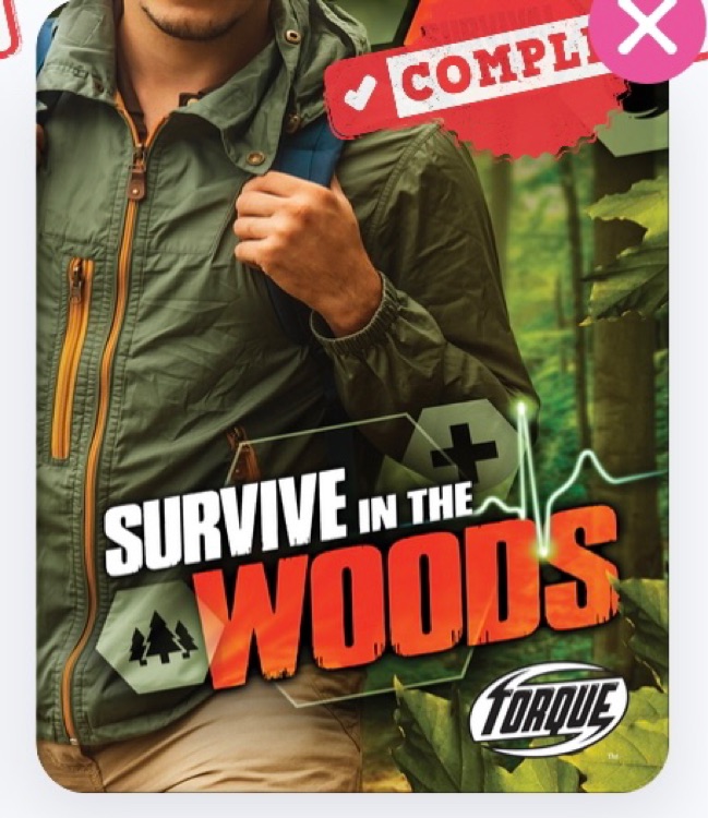 Survive in the woods