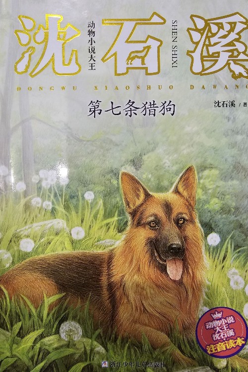 動物小說大王沈石溪·注音讀本: 第七條獵狗