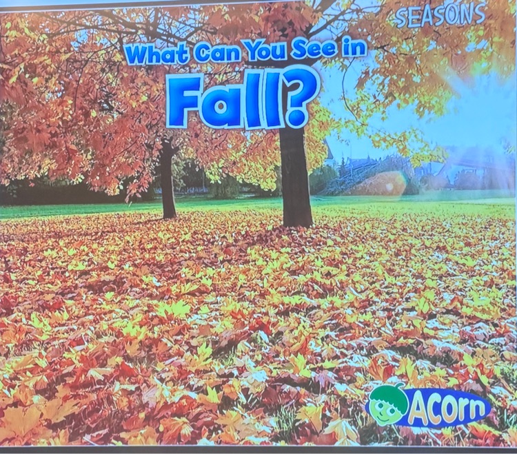 What can you see in Fall