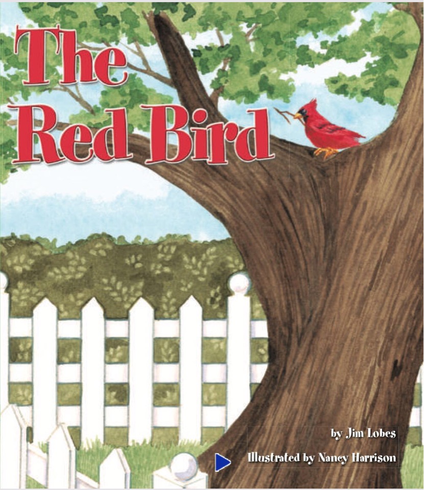 The Red Bird