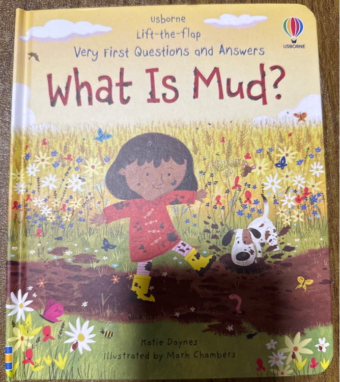 What is Mud?