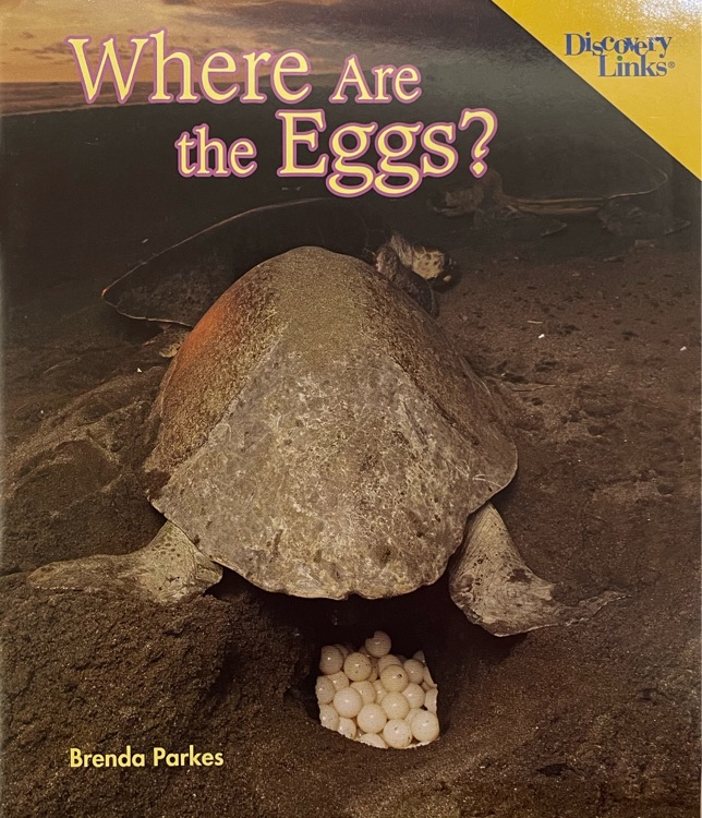 Where Are the Eggs