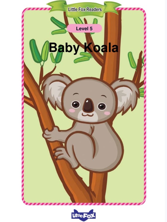 Baby Koala