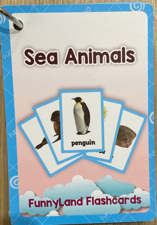 Funnyland Flashcards Sea Animals