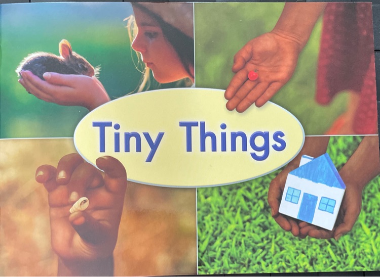 Tiny Things