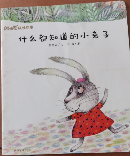 什么都知道的小兔子