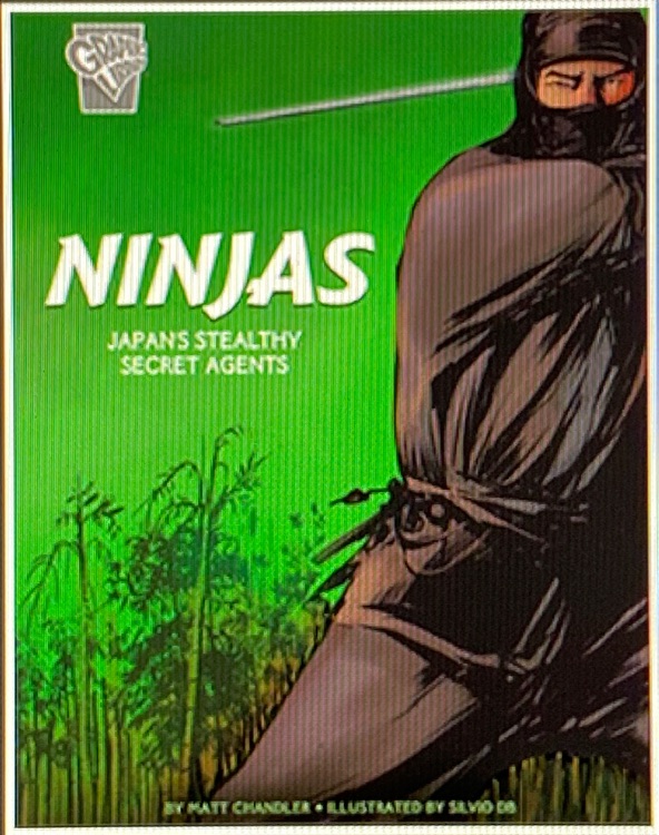 Ninjas