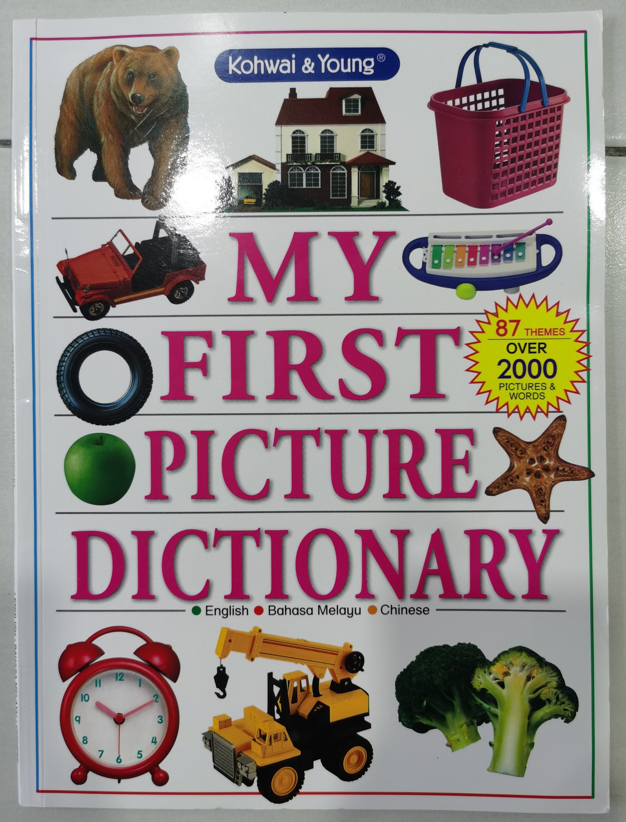 My first picture dictionary