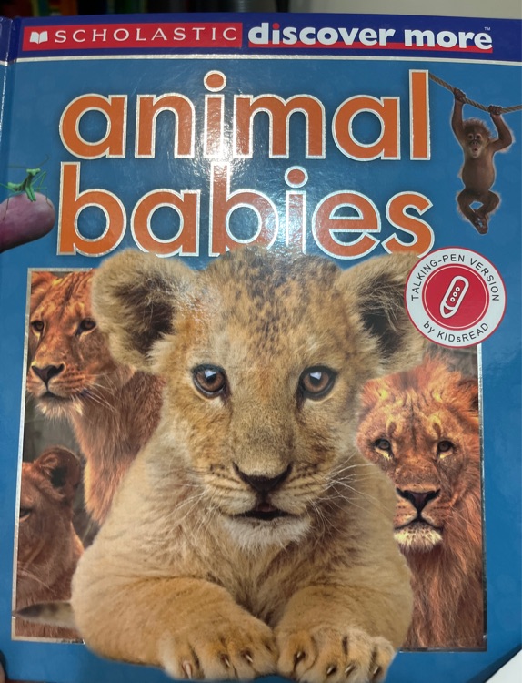 Discover more animal babies