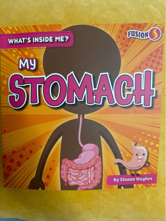 My stomach