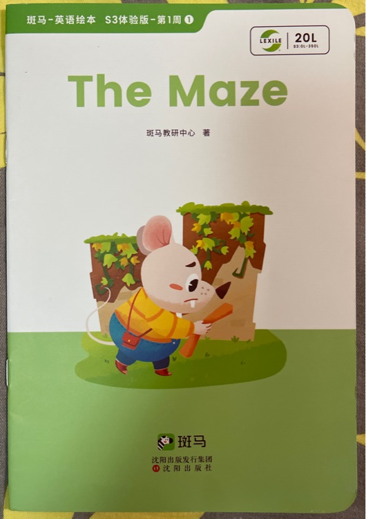 The Maze