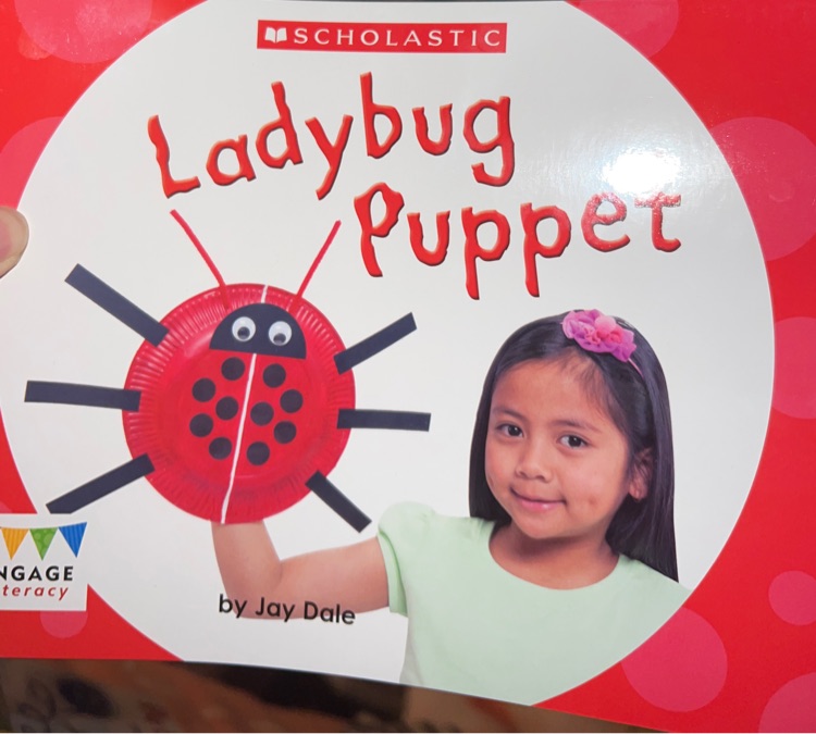 Ladybug puppet