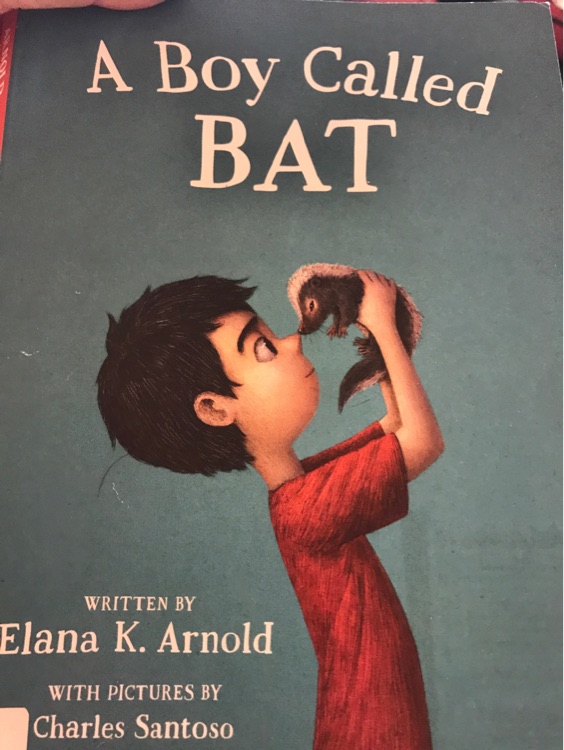 A boy called bat