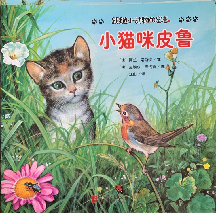 小貓咪皮魯