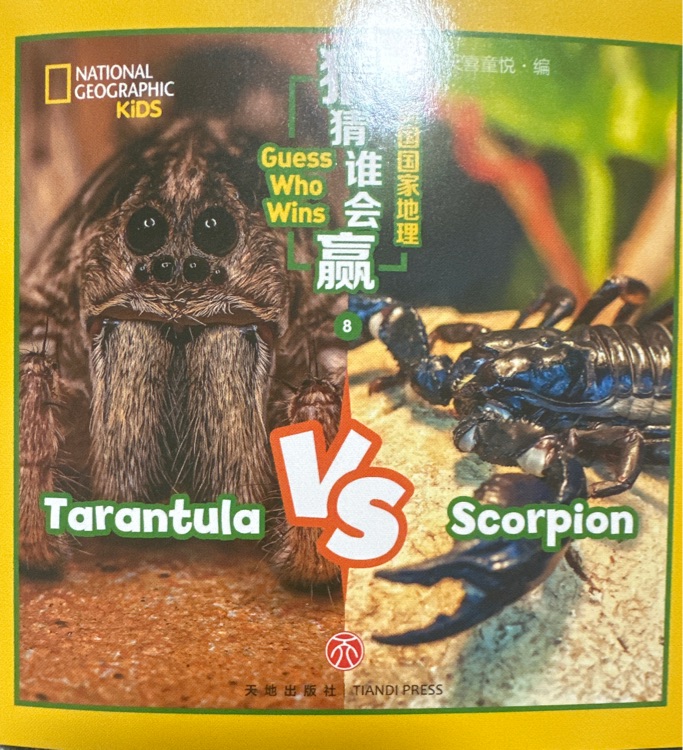 Tarantula vs scorpion