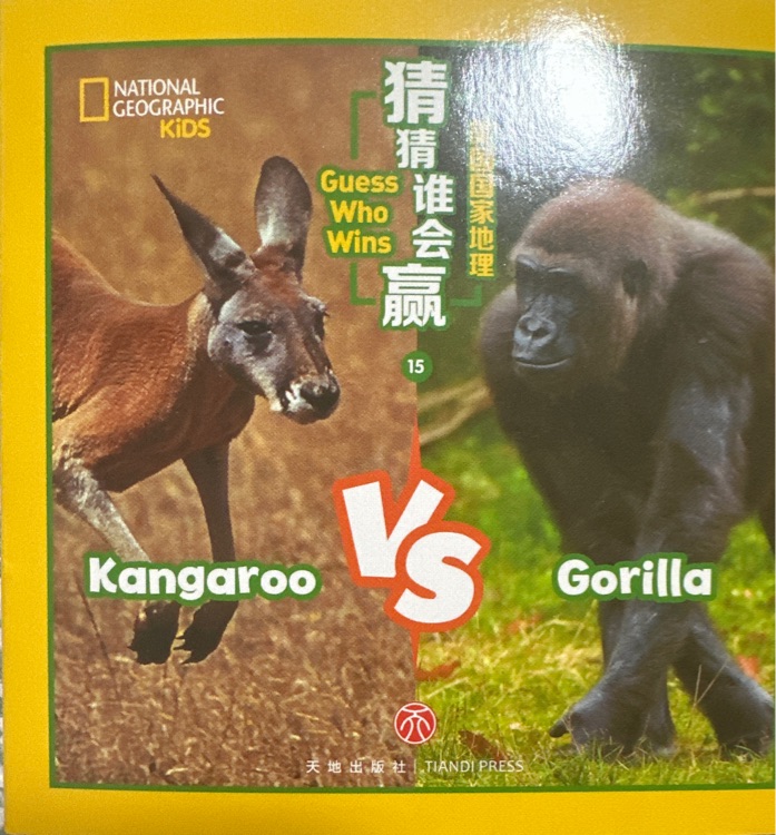 Kangaroo vs gorilla