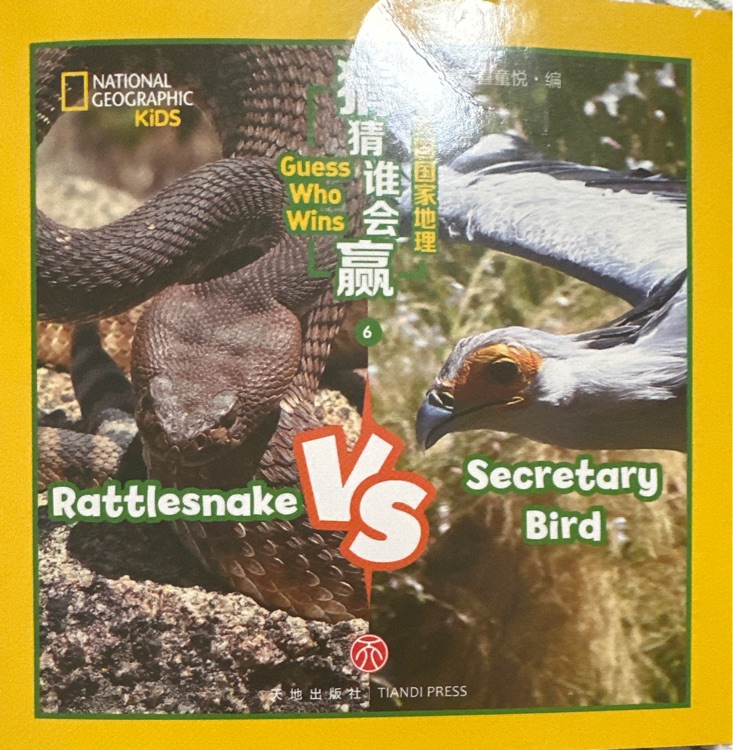 rattlesnake vs secretary bird