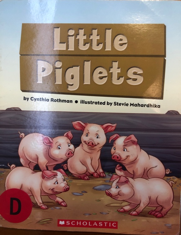 Little piglets