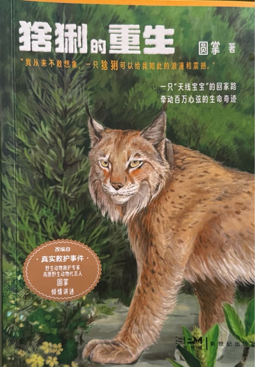 猞猁的重生